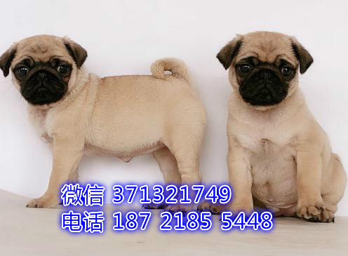 ?？谌岚透缛鍪鄞恐钟兹??？诒镜靥丶劭? width=80px height=80px /></div><div   id=