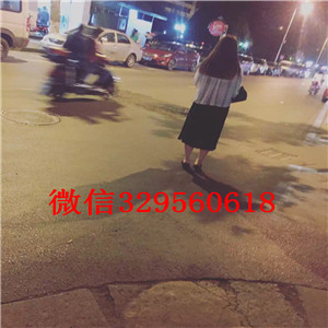 海南州哪里能买到纯种柴犬柴犬图片双血统柴犬