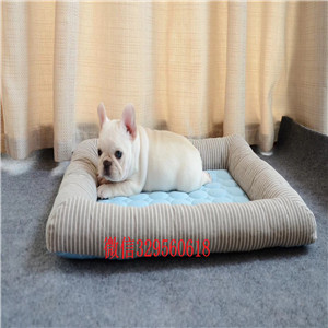 信阳出售纯种实体店出售法斗斗牛犬多少钱一只包养活 签协议