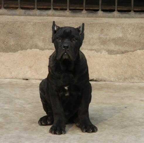 玉溪通?？ㄋ孤尥ê１镜毓烦〕Ｄ曷舸恐挚ㄋ孤? width=80px height=80px /></div><div   id=