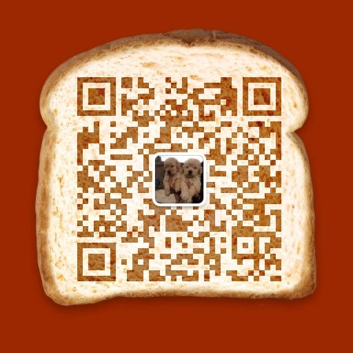 广西哪里买昆明犬 南宁哪里买昆明犬 养犬场买昆明犬